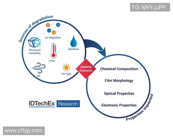 奥运会中新兴小项的观赏性提升与商业化前景探索